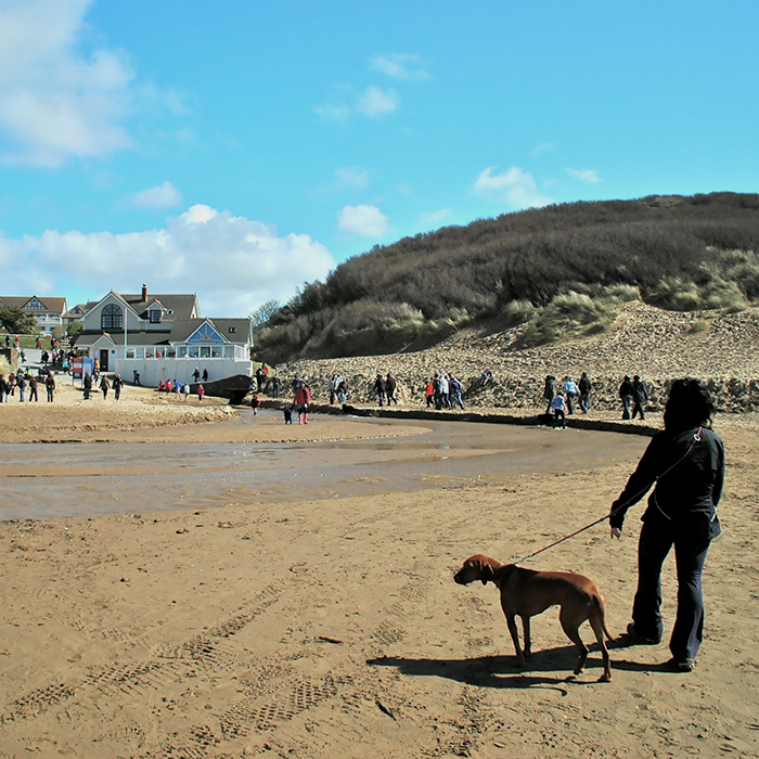 Devon Holiday Tips | Woolacombe Bay Holiday Parks